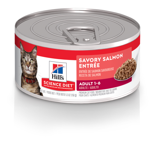 Hill's Science Diet Adult Savory Salmon Entrée 5.5oz