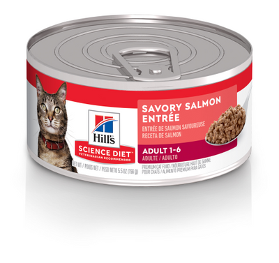 Hill's Science Diet Adult Savory Salmon Entrée 5.5oz