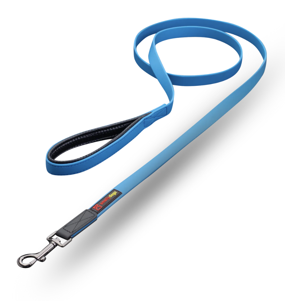 Smellydogz Large 6' Comfort Lead - Blue
