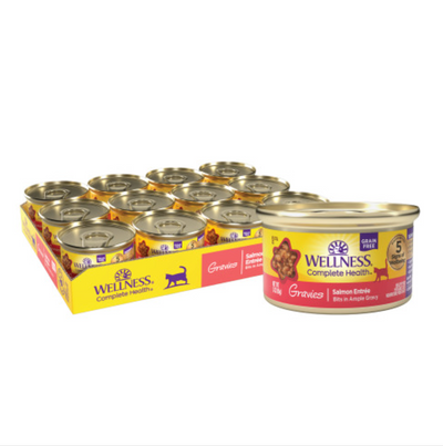 Wellness Complete Health Gravies Salmon Entree Bits 5.5oz