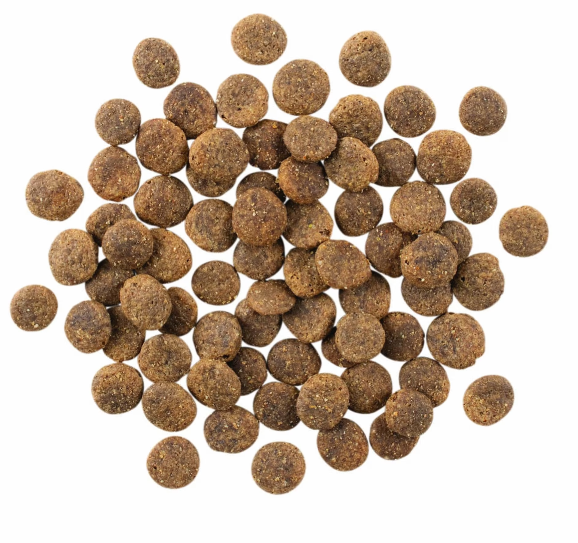 Go! Solutions Sensitivities Lamb Recipe with Grains 12lb