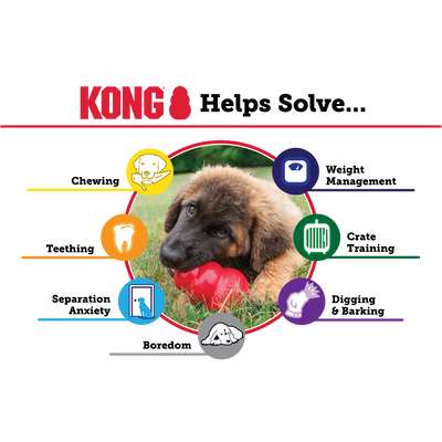 Kong Classic Red Large