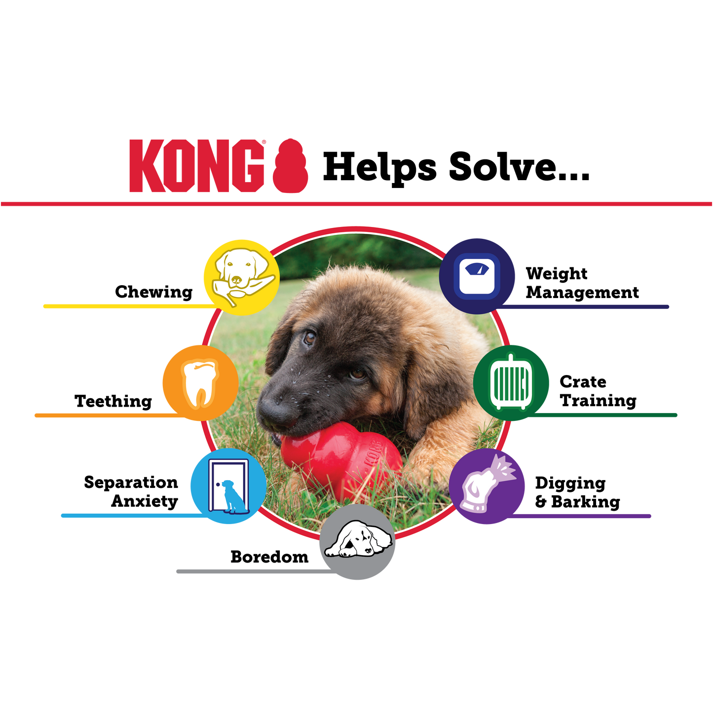 Kong Classic Red Small