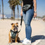 Canada Pooch The Everything Fanny Pack Camo