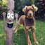 Doog Stick Family Toys - Woody (Husband)