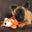 Kong Cozie Pocketz Bear