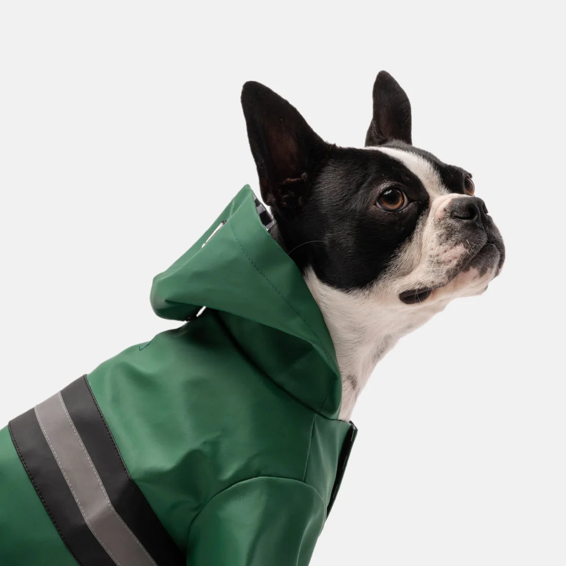 Silver Paw Aden Dog Green Raincoat - Small