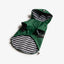 Silver Paw Aden Dog Green Raincoat - Small