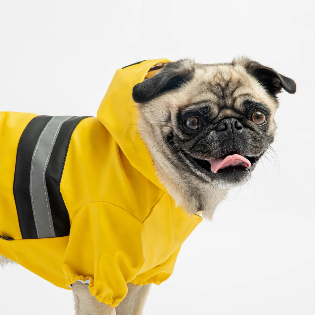 Silver Paw Aden Dog Yellow Raincoat - Extra Small