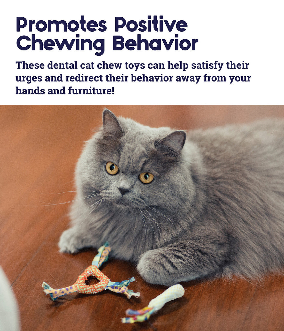 PetStages Catnip Dental Health Cat Chew Toy - 2 Pack