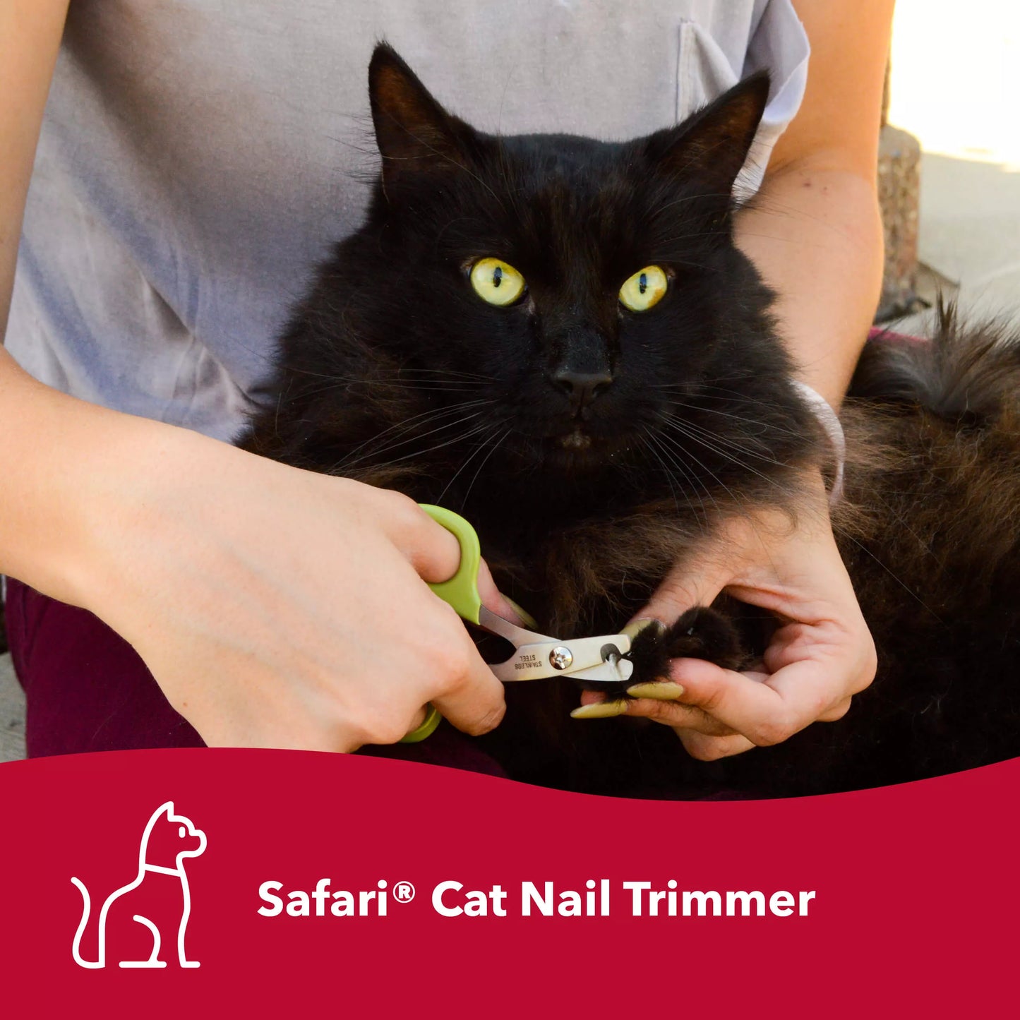 Coastal Safari Cat Nail Trimmer