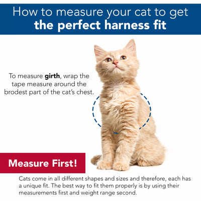 Coastal Adjustable Cat Wrap Harness with 6' Leash 9-14' Grey