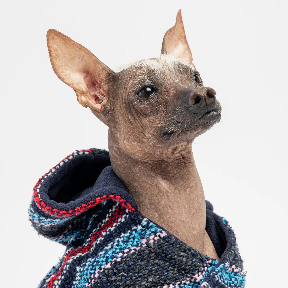 Silver Paw Navy Baja Dog Poncho - Large