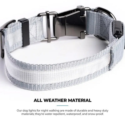 Silver Paw LED Collar Grey XS/Small