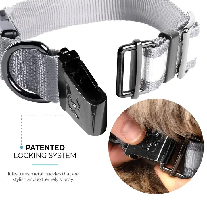 Silver Paw LED Collar Grey XS/Small