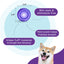 Outward Hound Orbee-Tuff Snoop Interactive Treat Dispensing Dog Toy Purple Small