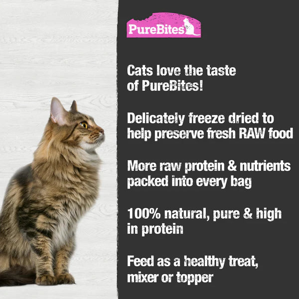 PureBites Salmon Freeze Dried Cat Treats 134g