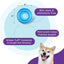 Outward Hound Orbee-Tuff Snoop Interactive Treat Dispensing Dog Toy Blue Large