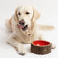 Silver Paw Farmhouse Wood Dog Bowl – BPA-Free, Non-Slip & Stylish Pet Dish 32oz
