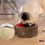 Silver Paw Farmhouse Wood Dog Bowl – BPA-Free, Non-Slip & Stylish Pet Dish 32oz