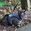 Coastal Adjustable Cat Wrap Harness with 6' Leash 11-16' Grey