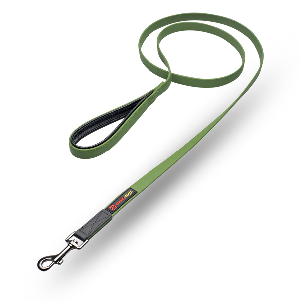 Smellydogz Small 6' Comfort Lead - Olive