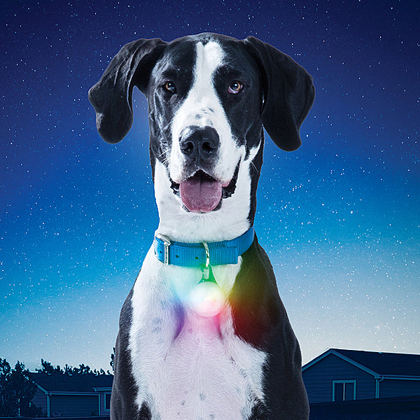 Nite Ize SpotLit XL Rechargeable Collar Light Disc-O