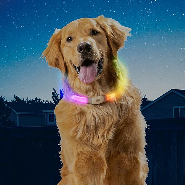 Nite Ize NiteHowl Max Rechargeable LED Safety Necklace