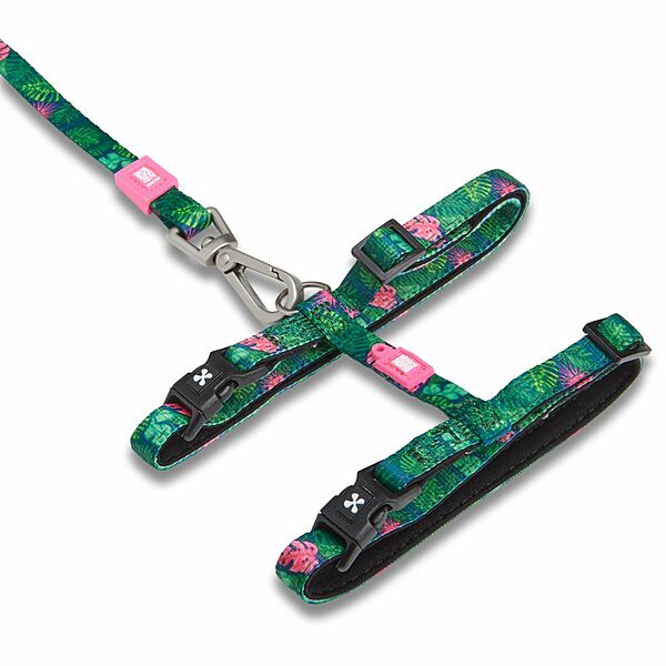 Max & Molly Urban Cat Harness/Leash Set - Tropical