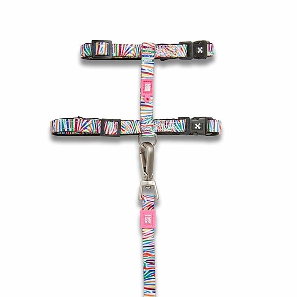 Max & Molly Urban Cat Harness/Leash Set - Magic Zebra