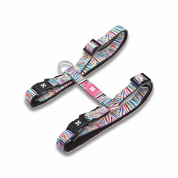 Max & Molly Urban Cat Harness/Leash Set - Magic Zebra