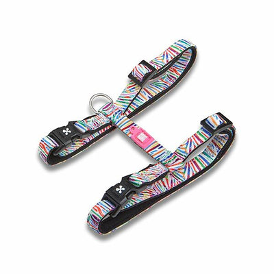 Max & Molly Urban Cat Harness/Leash Set - Magic Zebra