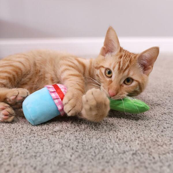 Quirky Kitty Pickled Mewcumbers Catnip 2 Pack