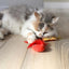 Quirky Kitty Ramen Cat Nip 2 Pack