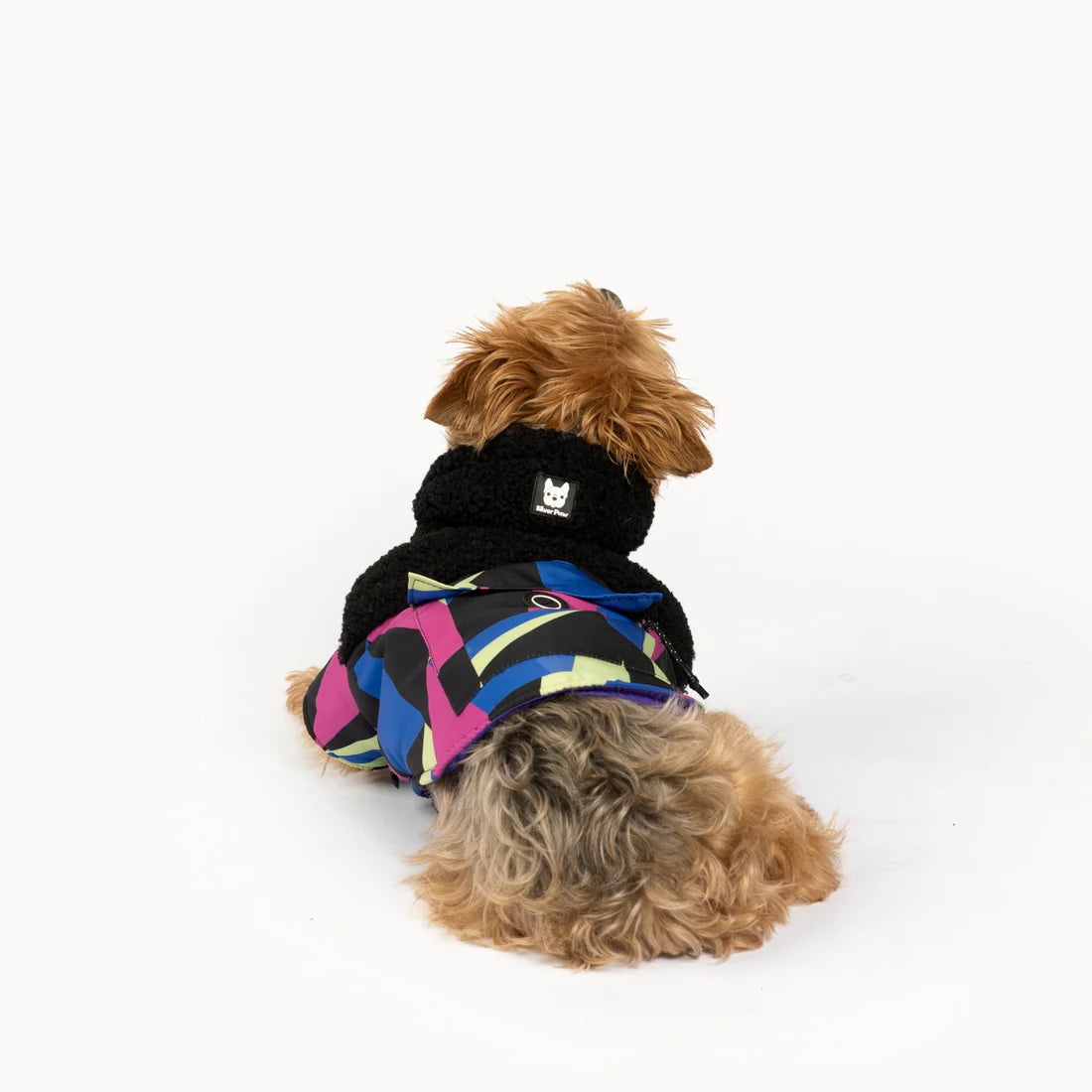 Silver Paw Ingo Dog Jacket - Small