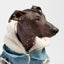 Silver Paw Denim Jean Jacket - Small