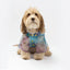 Silver Paw Kinney Raincoat - XL