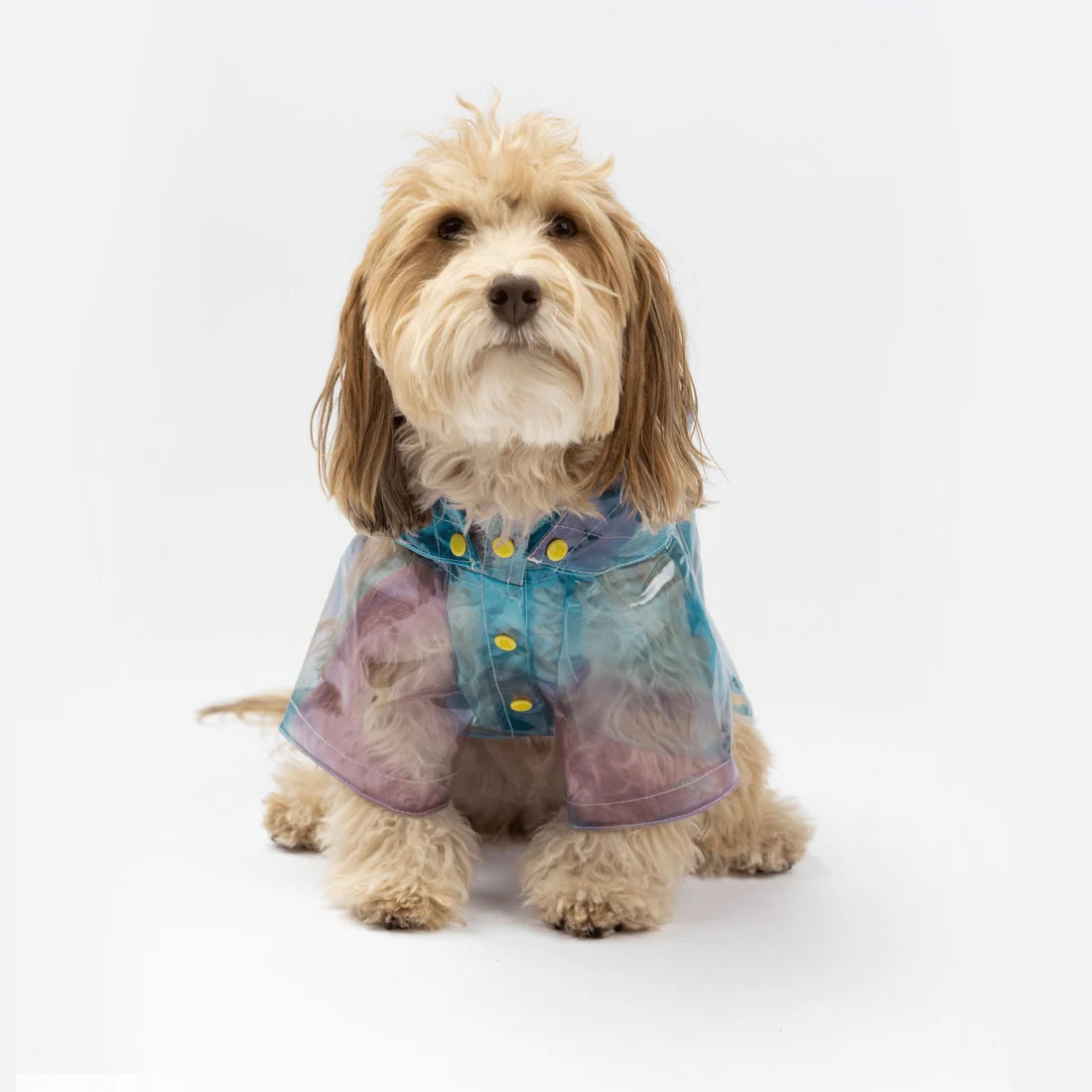 Silver Paw Kinney Raincoat - XL