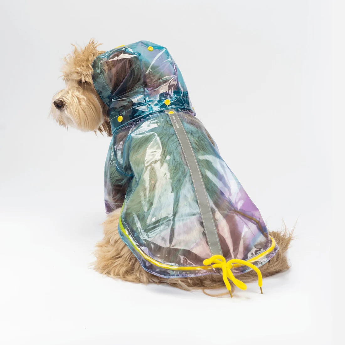 Silver Paw Kinney Raincoat - XL