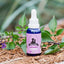Happy Buddies Canine Whole Hemp Plant Extract Oil Tincture Large Breed 30ml