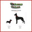 Smellydogz Medium/Large Adjustable Comfort Collar - Red