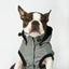 Silver Paw Reflective Raincoat - Extra Small