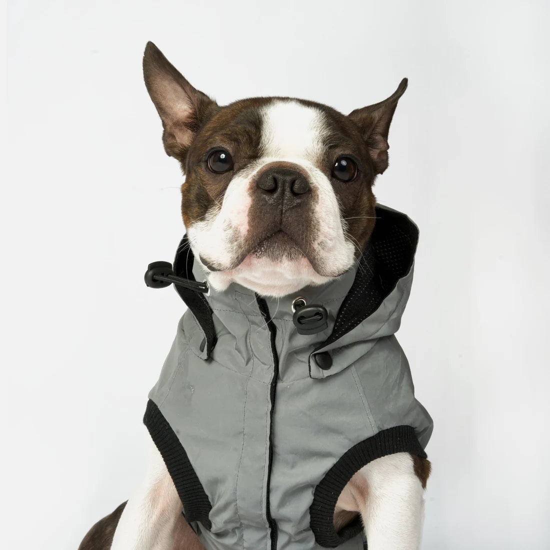 Silver Paw Reflective Raincoat - Extra Small