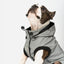Silver Paw Reflective Raincoat - Large