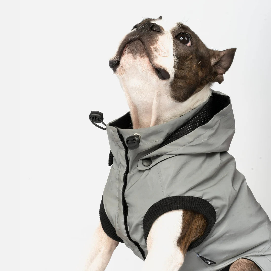 Silver Paw Reflective Raincoat - Extra Small