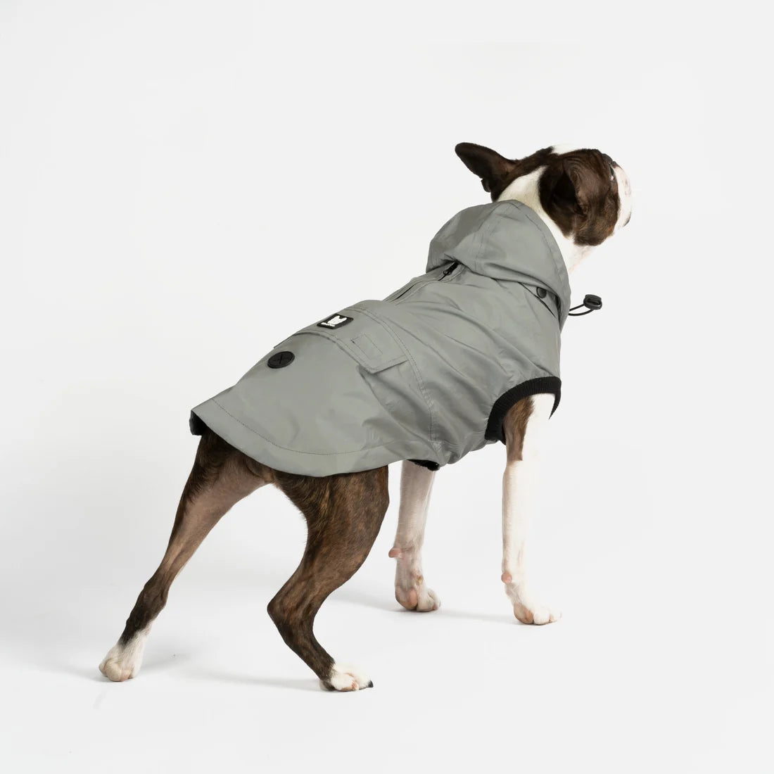 Silver Paw Reflective Raincoat - Extra Small