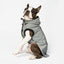 Silver Paw Reflective Raincoat - Extra Small