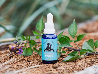 Happy Buddies Canine Whole Hemp Plant Extract Oil Tincture Medium Breed 30ml