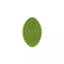 Coastal Safari Soft Tip Curry Brush for Dogs