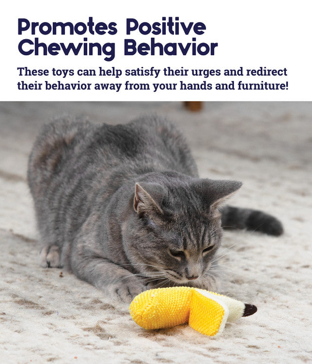 PetStages Catnip & Crinkle Dental Health Banana